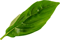 Decorative leaf