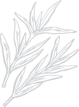 Decorative food illustration